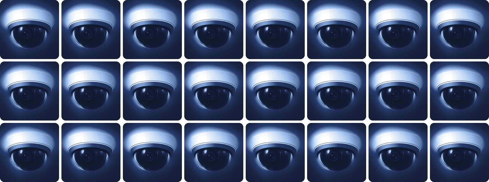 Twenty-four identical surveillance cameras in a grid: the coverage already installed on a property, and the sensors eConnect runs on.